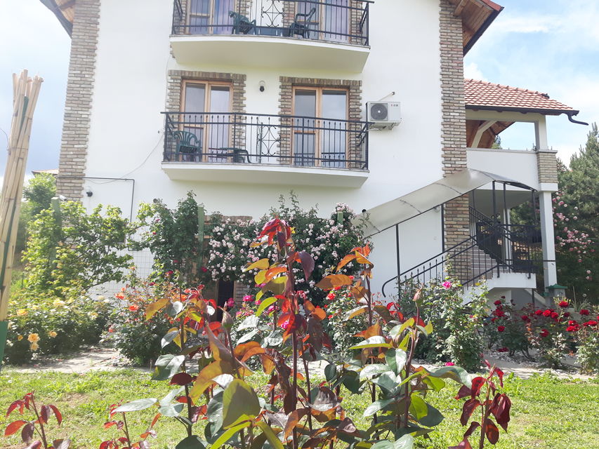 Bogdana Gavrilovića 43, Sremska Kamenica - 4