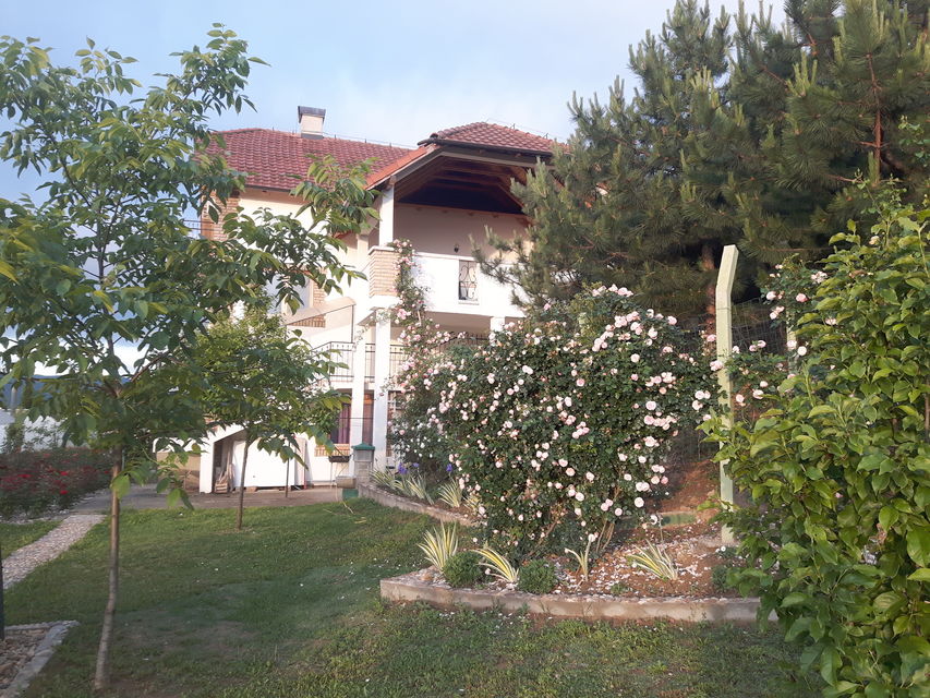 Bogdana Gavrilovića 43, Sremska Kamenica - 6