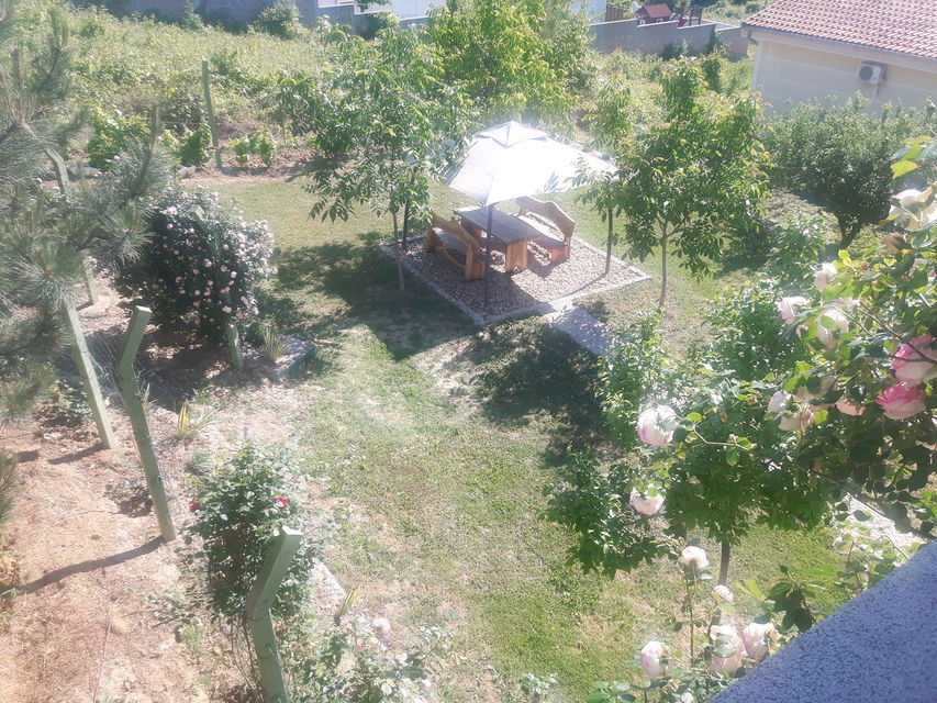 Bogdana Gavrilovića 43, Sremska Kamenica - 7