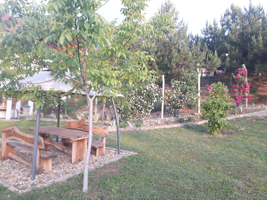 Bogdana Gavrilovića 43, Sremska Kamenica - 8