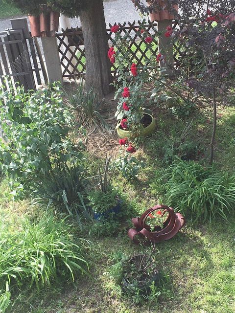 Belog krina 7, Beograd - 2