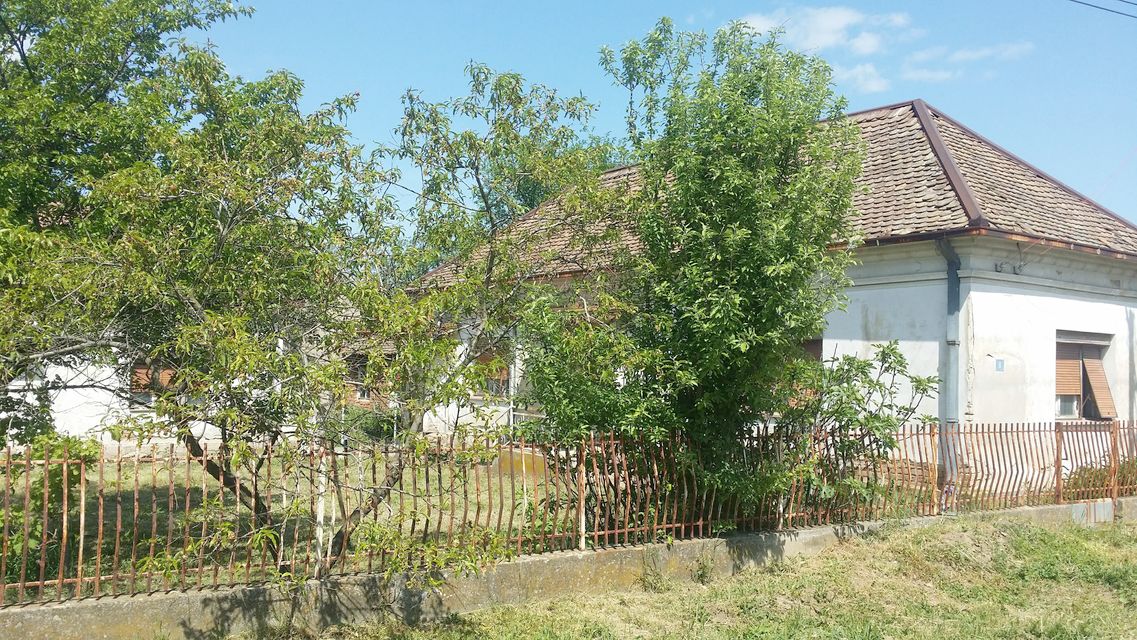 Bože Dimitrijevića 8, Petka - 1