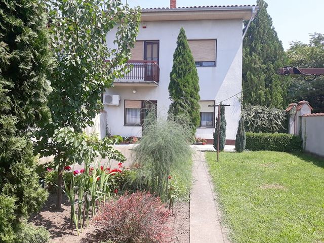 Franje Kluza 56, Ruma - 2