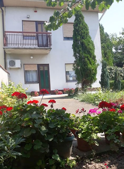 Franje Kluza 56, Ruma - 3