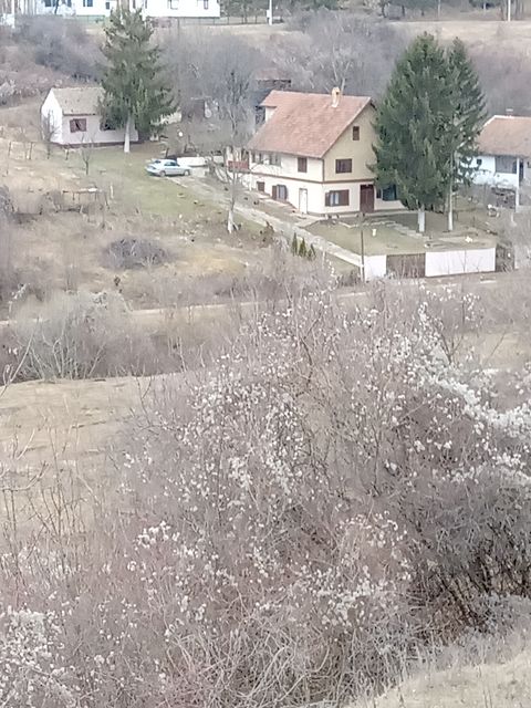 Dana Kotura 2, Vrdnik - 1