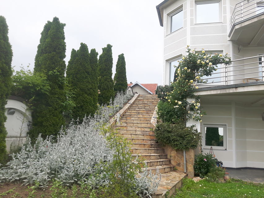 Bogdana Gavrilovića 47, Sremska Kamenica - 15