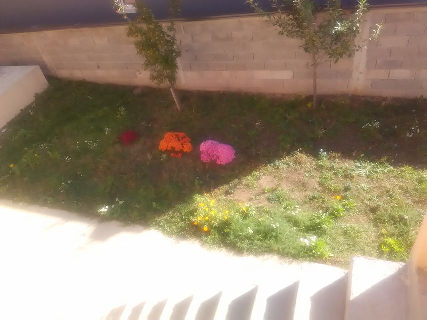 Metohijska 2A, Beograd - 22