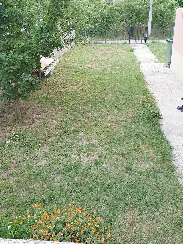 Metohijska 2A, Beograd - 2