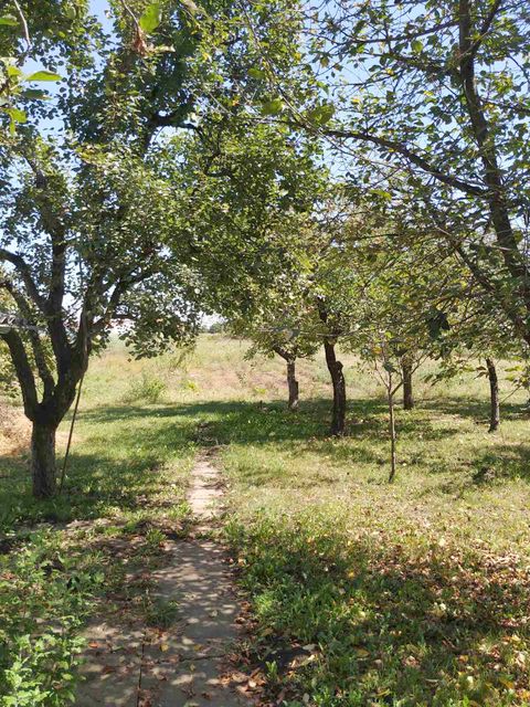 Fruškogorska 96, Popinci - 6