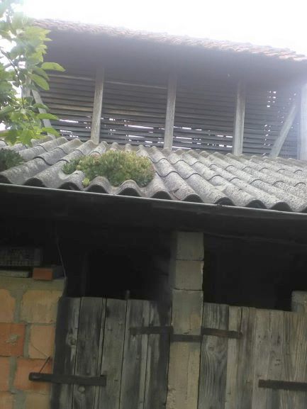 Fruškogorska 96, Popinci - 4