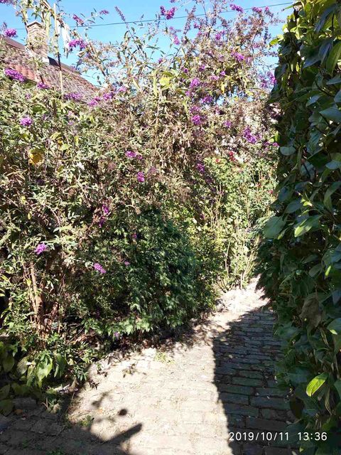 Rabina Alkalaja 4, Beograd - 11