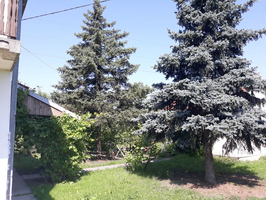 Radnička 27, Veliki Crljeni - 14