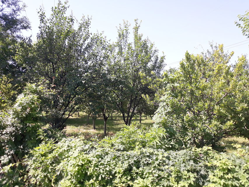 Radnička 27, Veliki Crljeni - 13