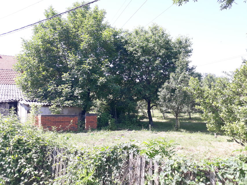 Radnička 27, Veliki Crljeni - 12