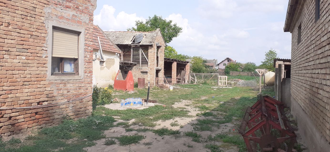 Ive lole Ribara 42, Sakule - 1