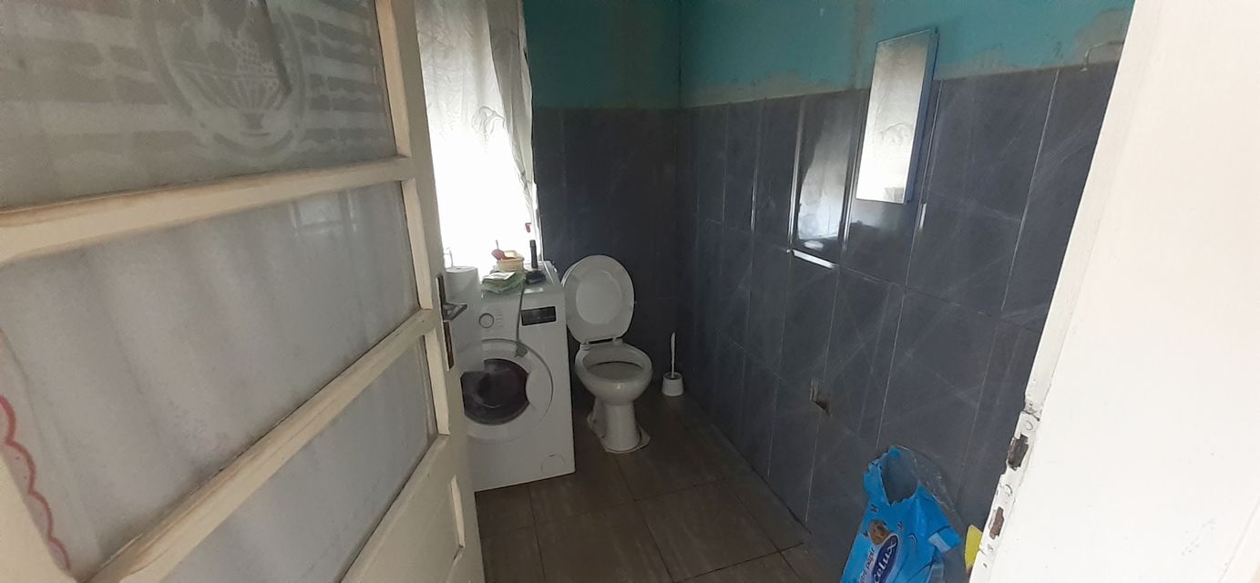 Ive lole Ribara 42, Sakule - 11