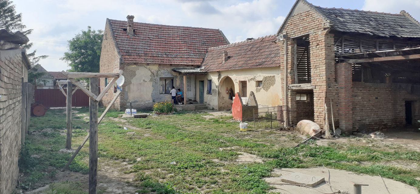 Ive lole Ribara 42, Sakule - 5