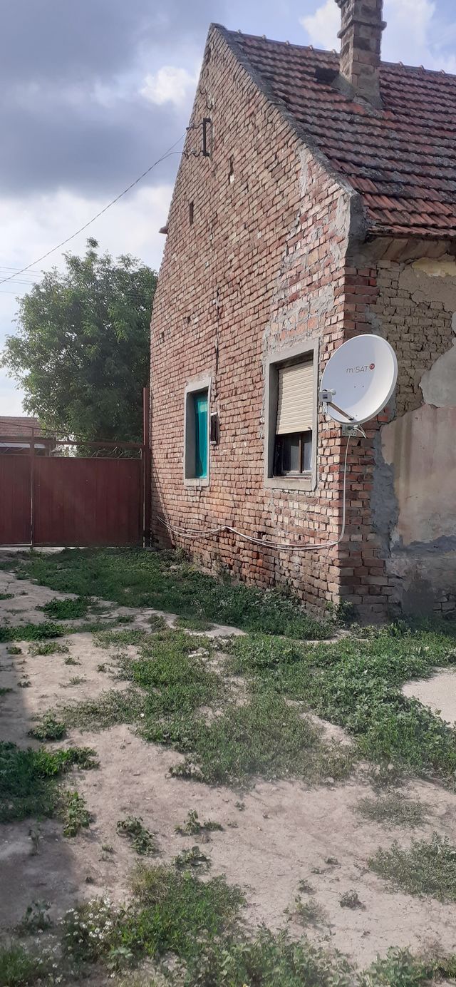 Ive lole Ribara 42, Sakule - 3