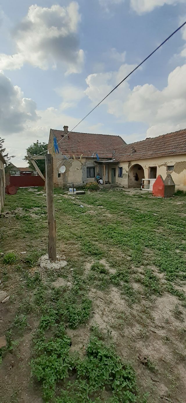 Ive lole Ribara 42, Sakule - 6