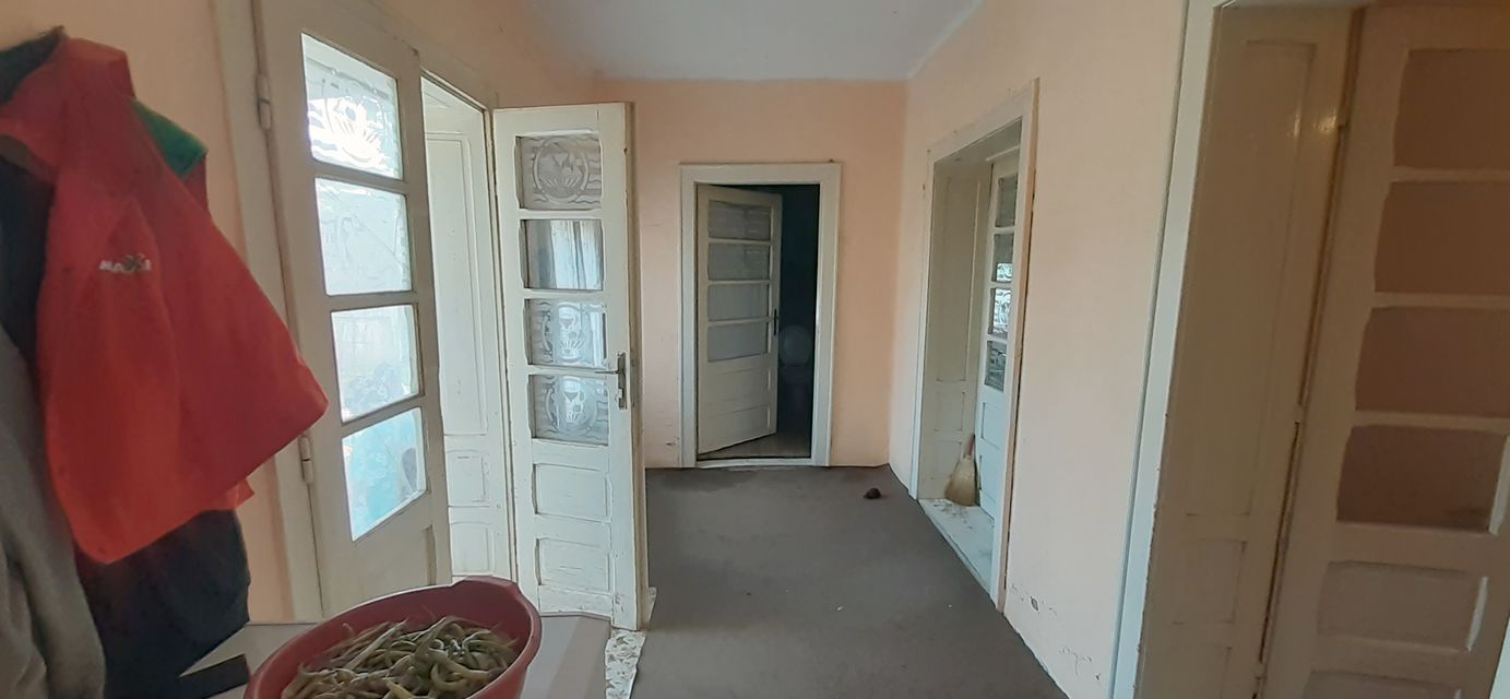 Ive lole Ribara 42, Sakule - 13