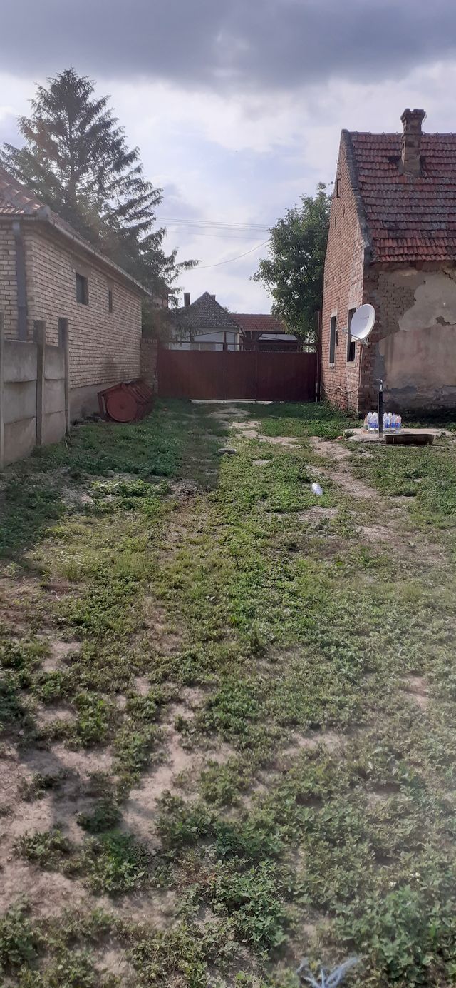 Ive lole Ribara 42, Sakule - 4