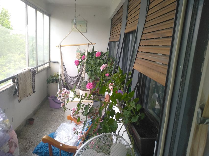 Bulevar Arsenija Čarnojevića 147, Beograd - 2