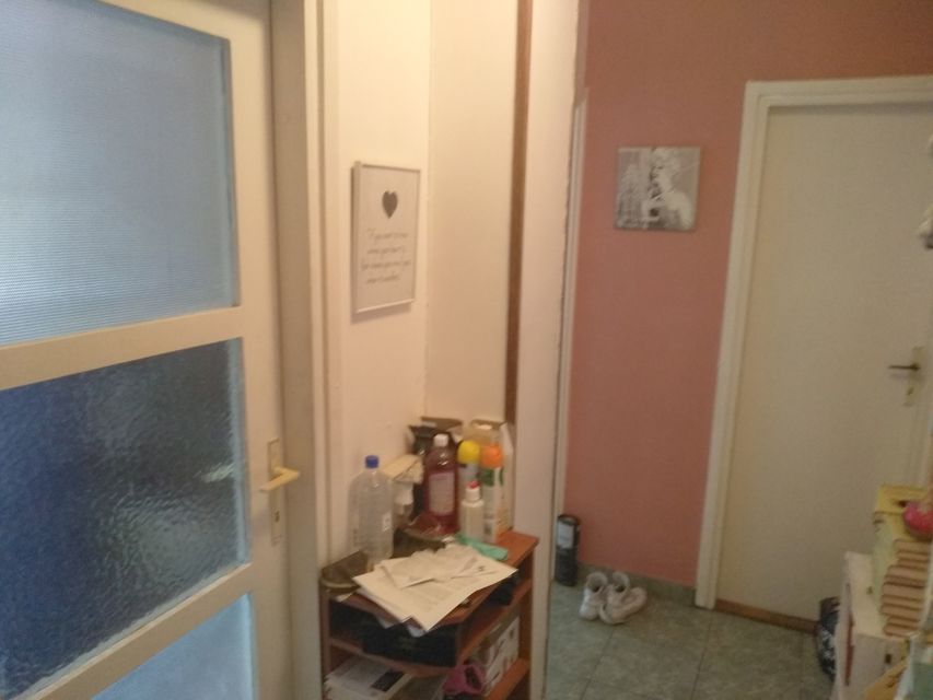 Bulevar Arsenija Čarnojevića 147, Beograd - 7