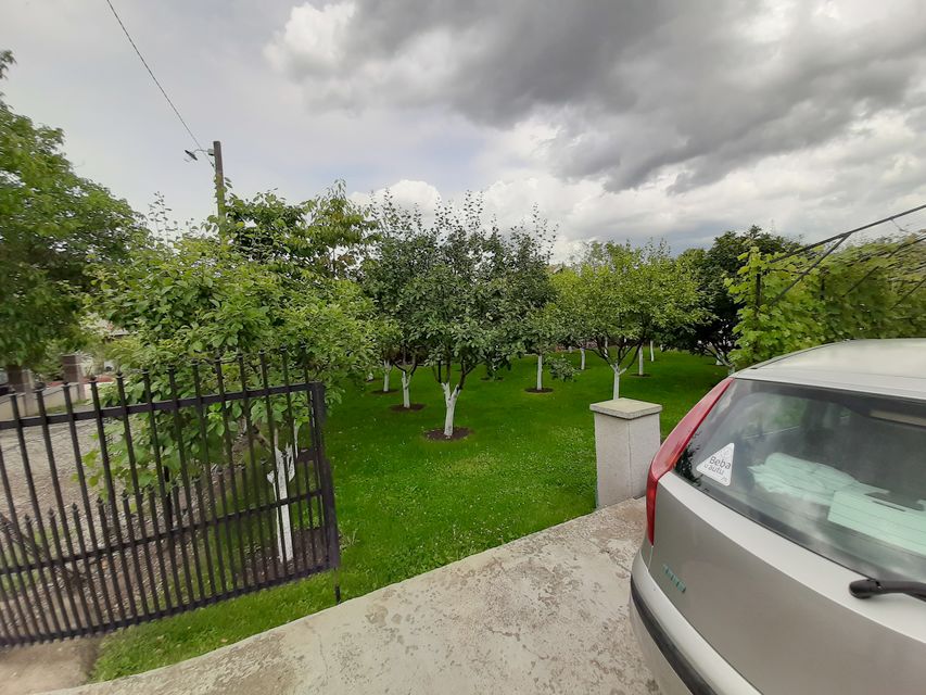 Prve Internacionale 5, Kragujevac - 4