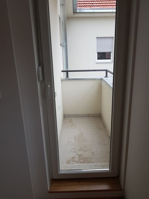 Bele Njive 24, Novi Sad - 4