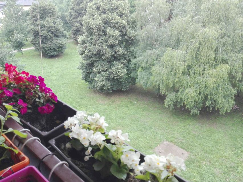 Vojvođanski bulevar 20, Pančevo