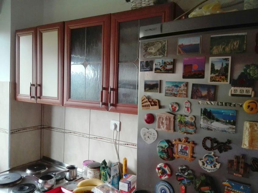 Vojvođanski bulevar 20, Pančevo - 6