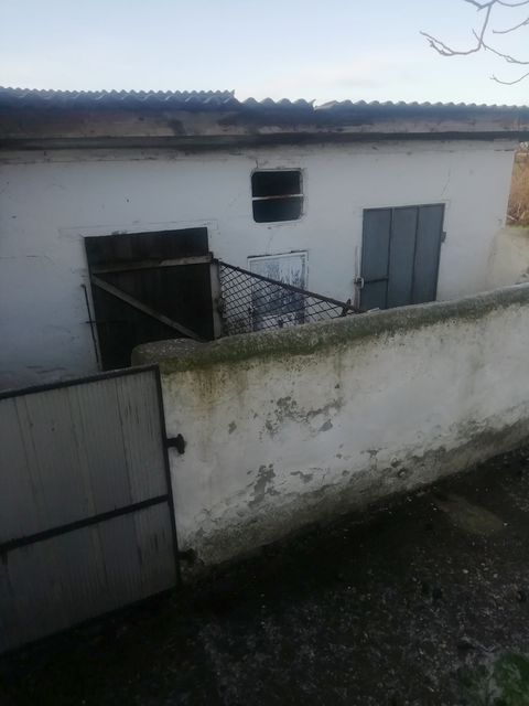 Veljka Vlahovića 8, Torak - 3