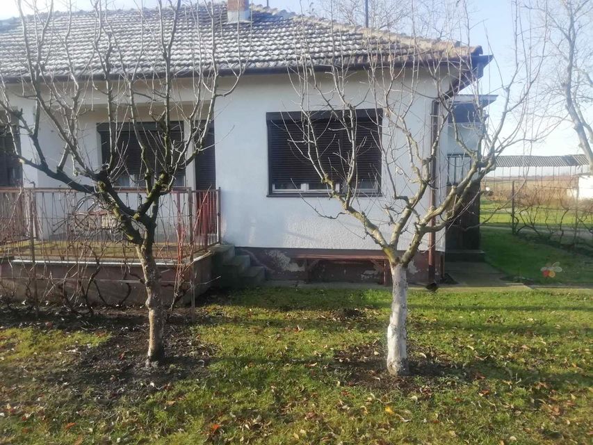 Veljka Vlahovića 8, Torak - 12