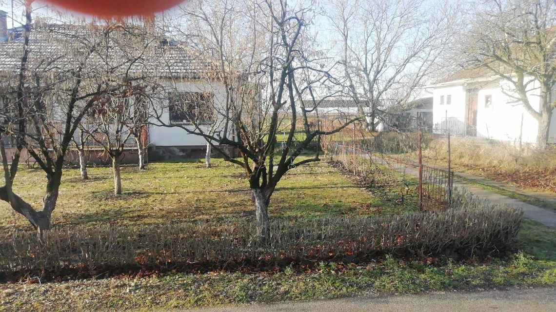 Veljka Vlahovića 8, Torak - 2