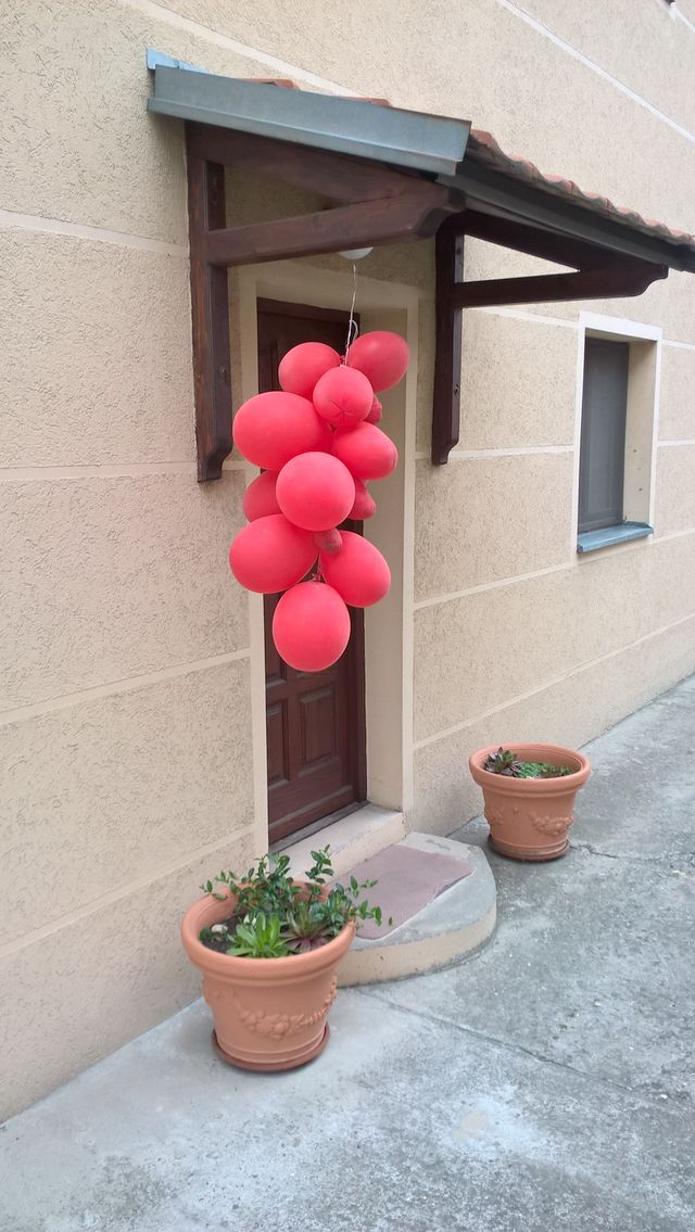 Cara Dušana 193, Beograd - 9