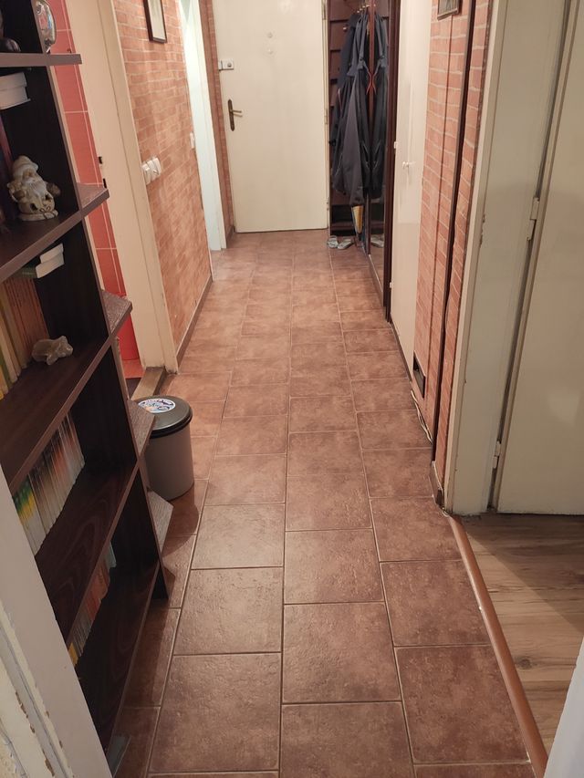 Marijane Gregoran 52, Beograd