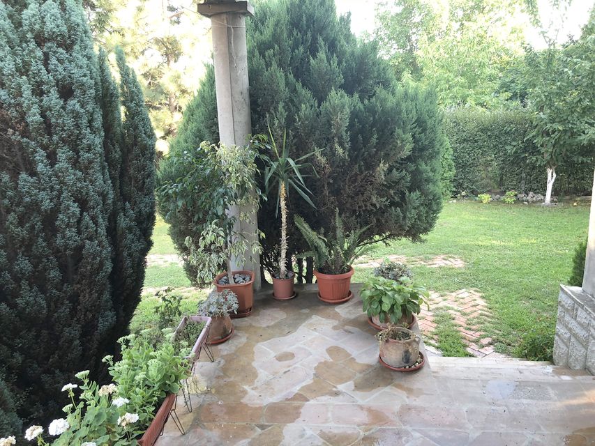 Njegoševa 7, Beograd - 18