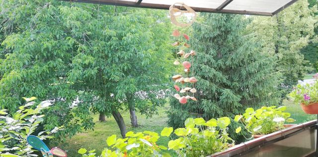 Vojvođanskih Brigada 7, Bač - 7