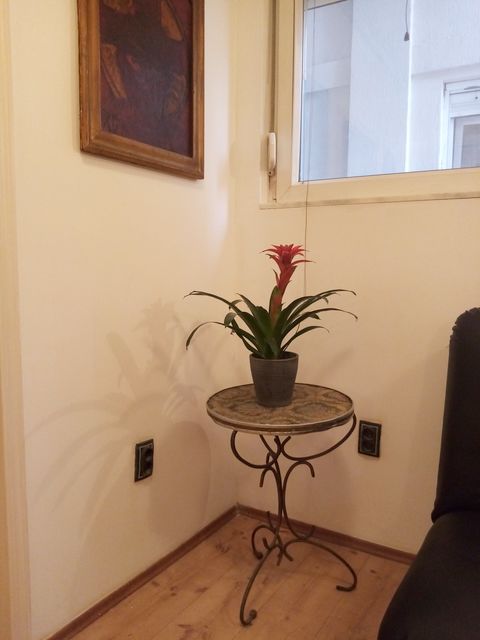 Gastona Gravijea 5, Beograd - 13