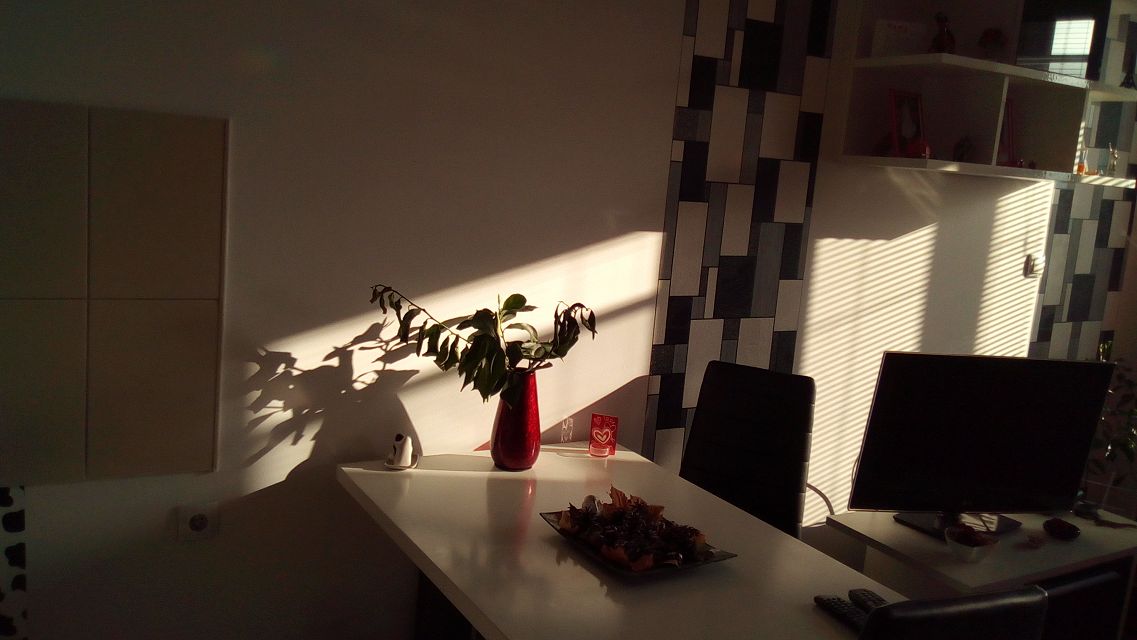 Mome Stanojlovića 13, Beograd - 5