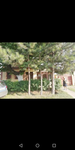 Partizanska 22, Ogar - 2