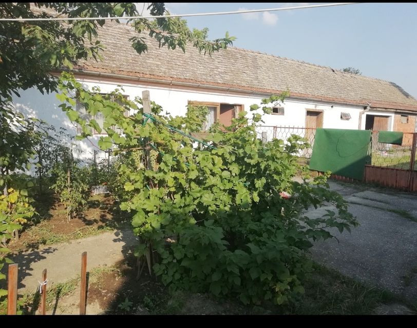 Partizanska 22, Ogar - 3