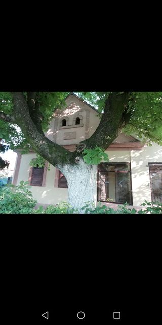 Partizanska 22, Ogar - 1