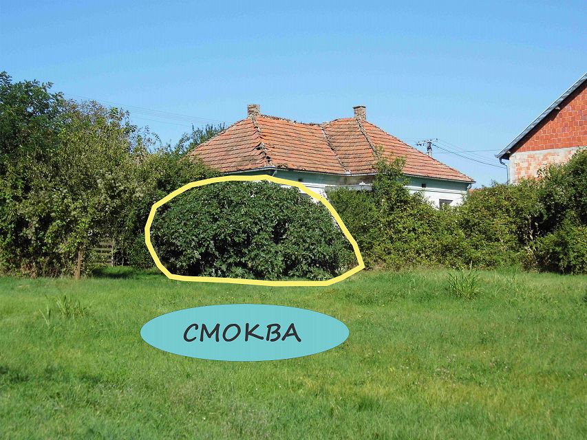 Ulica Moše Pijade 5, Aleksinac - 3