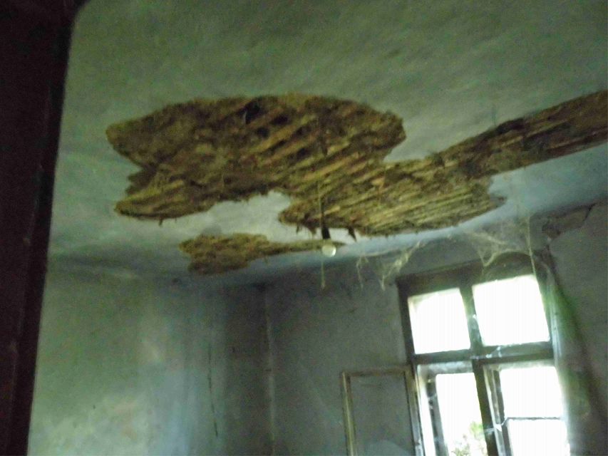 Ulica Moše Pijade 5, Aleksinac - 5