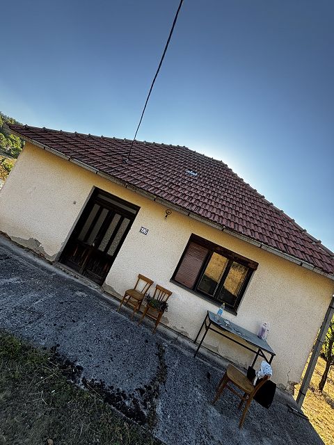 Kralja Petra I 19, Potocanje