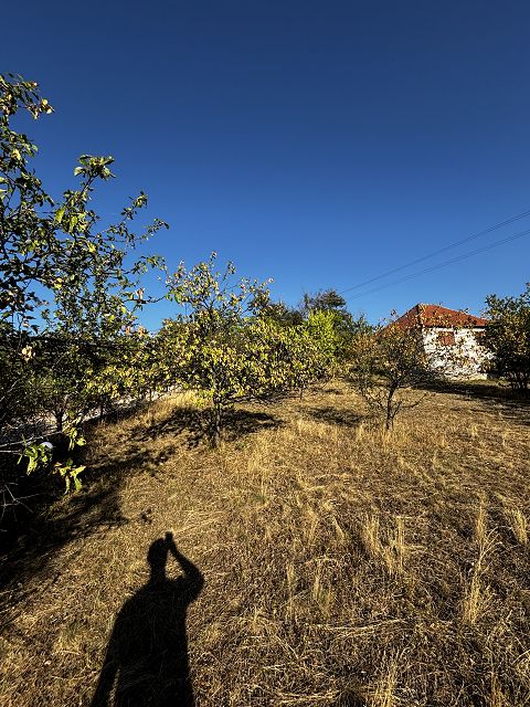 Kralja Petra I 19, Potocanje - 3