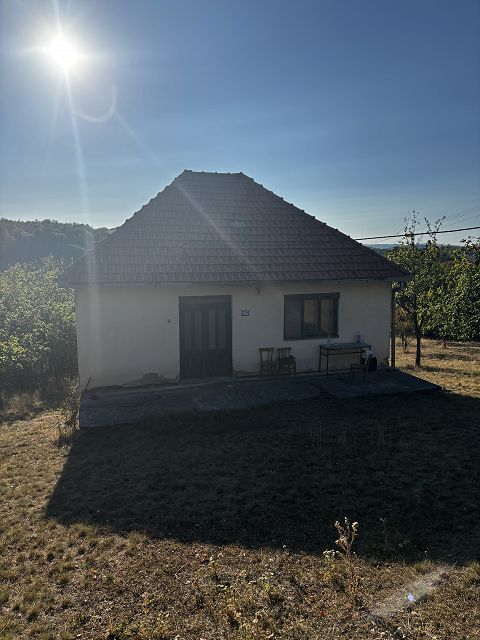 Kralja Petra I 19, Potocanje - 4