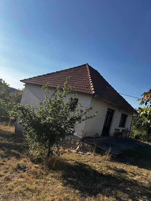 Kralja Petra I 19, Potocanje - 5