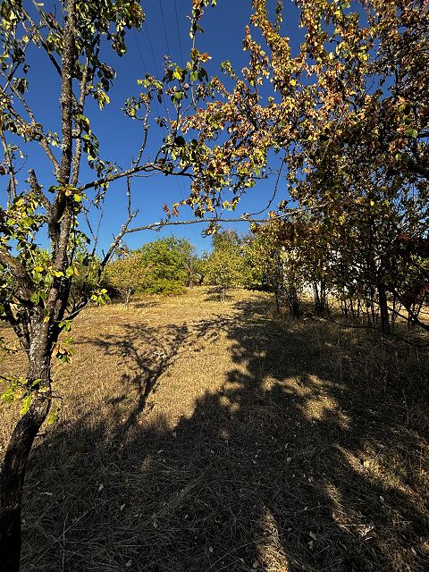 Kralja Petra I 19, Potocanje - 2